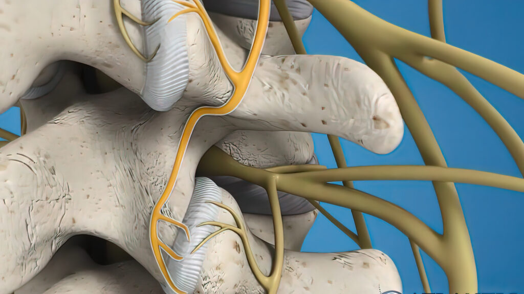 Regional Anesthesia for Upper Extremity Burns - Montana Anesthesia Services